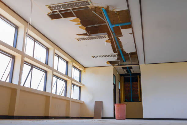 Best 24/7 water damage repair  in Monticello, KY
